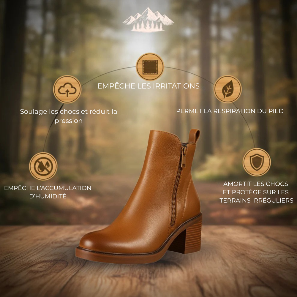 AA5 | Automne – Hiver 2025